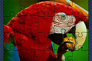 ������ƴͼ