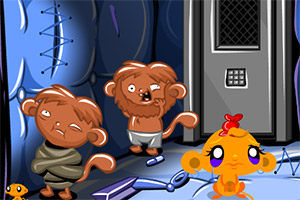 ��С�￪��ϵ��559