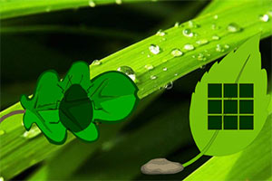 ������Ҷ��ֽ��