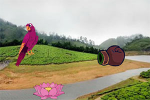 ��ԮС����