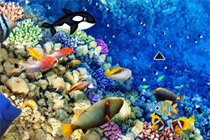 �ӳ�����