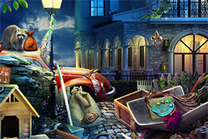 ҹ������