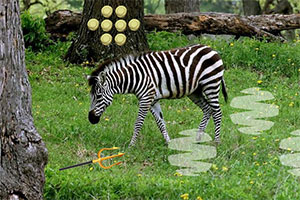 ����ɭ������