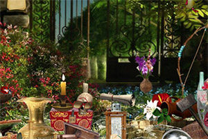 ����ɭ��