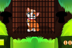 ���ȿɰ���Сè