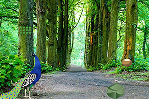 �����Ŀ�ȸ����