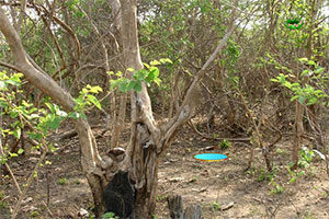 �������˵�¹