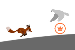 ������ǰ��