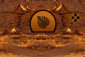 ����Լ��������