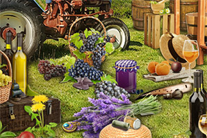 ����԰����