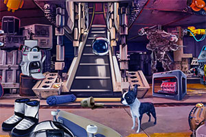 ����ڰ���