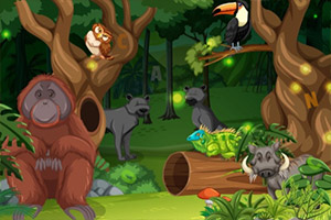 ����ɭ������ĸ