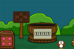 ����ɭ������������