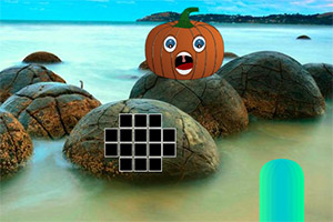 �����ϹϺ�̲