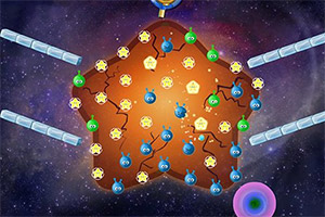 ���Ƿ��̨H5