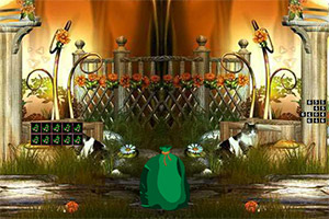 ���ڻ�����ȵĹ�