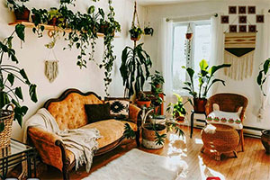 Ѱ������ֲ��