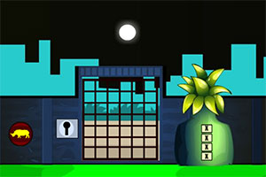 ��ҹ����