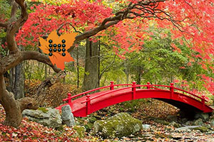 ����������