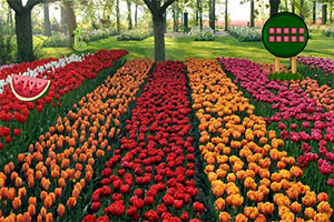 �羰��԰����