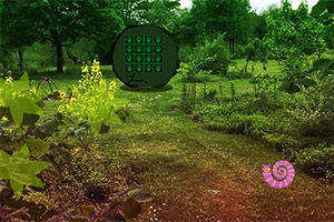 ���볤��̦޺����