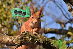 ����ɭ������