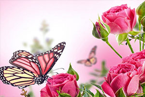 ��������ƴͼ