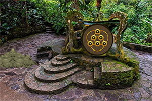 ���ܻ�԰����