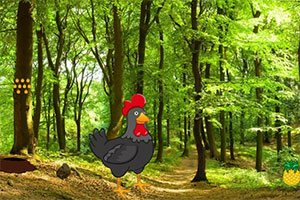 Ѱ�Һڹ�������