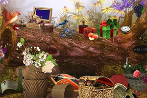 ����ͨ��