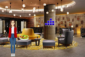 �ӳ��ùݵĹ���