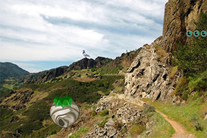 ��Ȼ��������