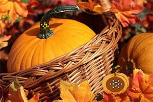 ��Ů������