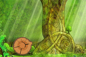 ������þ���