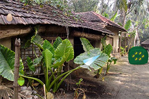 Ѱ�ҹ���ĵ���