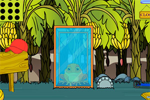 ��Ԯ��ɫ���