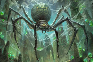 Ѱ��֩��ʳ��