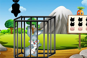 ��Ԯ���ܲ�������