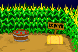 �������׵�