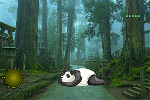 ����˯������è