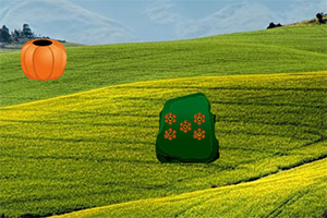 �ӳ��ж����ɶ�����