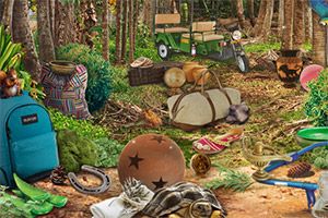 ������̽