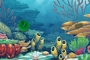 �����ڹ�����