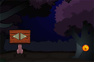 ��Ԯ������è