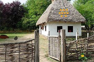 ��Ժĸ������