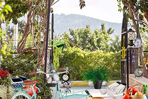 ������ֲ��԰2