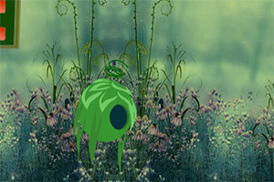 ���뻨��ɭ��