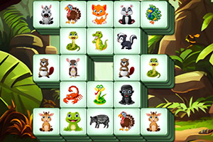 �����齫�Զ���