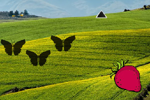 �����Ľ������