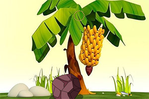 �����㽶����